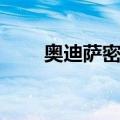 奥迪萨密件（关于奥迪萨密件简介）