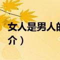 女人是男人的未来（关于女人是男人的未来简介）