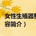 女性生殖器整形美容（关于女性生殖器整形美容简介）