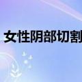 女性阴部切割术（关于女性阴部切割术简介）