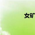 女矿工（关于女矿工简介）