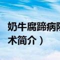 奶牛腐蹄病防治技术（关于奶牛腐蹄病防治技术简介）