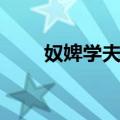 奴婢学夫人（关于奴婢学夫人简介）