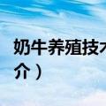 奶牛养殖技术问答（关于奶牛养殖技术问答简介）