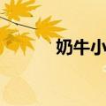 奶牛小区（关于奶牛小区简介）