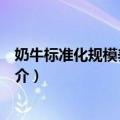 奶牛标准化规模养殖图册（关于奶牛标准化规模养殖图册简介）