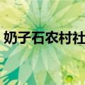 奶子石农村社区（关于奶子石农村社区简介）