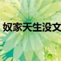 奴家天生没文化（关于奴家天生没文化简介）