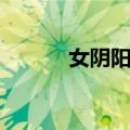 女阴阳师（关于女阴阳师简介）