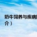 奶牛饲养与疾病防治手册（关于奶牛饲养与疾病防治手册简介）