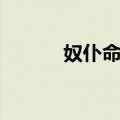 奴仆命骚（关于奴仆命骚简介）
