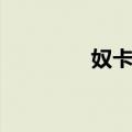 奴卡村（关于奴卡村简介）