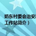 奶东村委会治安志愿者工作站（关于奶东村委会治安志愿者工作站简介）