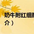 奶牛附红细胞体病（关于奶牛附红细胞体病简介）