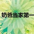 奶爸当家第一季（关于奶爸当家第一季简介）