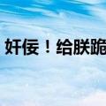 奸佞！给朕跪下（关于奸佞！给朕跪下简介）