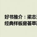 好书推介：梁志天经典样板房荟萃（关于好书推介：梁志天经典样板房荟萃简介）