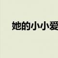 她的小小爱情（关于她的小小爱情简介）