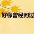 好像曾经问过你（关于好像曾经问过你简介）