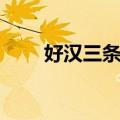 好汉三条半（关于好汉三条半简介）