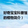 好奇宝宝科普馆：神奇的植物（关于好奇宝宝科普馆：神奇的植物简介）