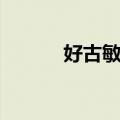 好古敏求（关于好古敏求简介）