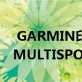  GARMIN印度推出新的GARMIN FENIX 6 MULTISPORT系列高级GPS手表