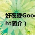 好夜晚Good Night（关于好夜晚Good Night简介）