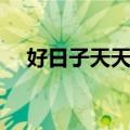 好日子天天过（关于好日子天天过简介）