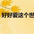 好好爱这个世界（关于好好爱这个世界简介）