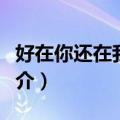 好在你还在我身旁（关于好在你还在我身旁简介）