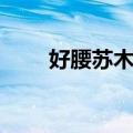 好腰苏木镇（关于好腰苏木镇简介）