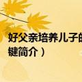 好父亲培养儿子的63个关键（关于好父亲培养儿子的63个关键简介）