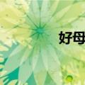 好母亲（关于好母亲简介）