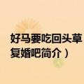 好马要吃回头草：我们复婚吧（关于好马要吃回头草：我们复婚吧简介）