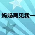 妈妈再见我一面（关于妈妈再见我一面简介）