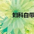 妇科白带丸（关于妇科白带丸简介）