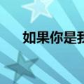 如果你是我2（关于如果你是我2简介）