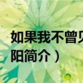 如果我不曾见过太阳（关于如果我不曾见过太阳简介）
