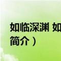 如临深渊 如履薄冰（关于如临深渊 如履薄冰简介）