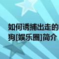 如何诱捕出走的小奶狗[娱乐圈]（关于如何诱捕出走的小奶狗[娱乐圈]简介）