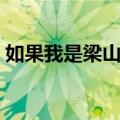 如果我是梁山伯（关于如果我是梁山伯简介）
