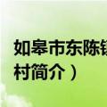 如皋市东陈镇金鱼村（关于如皋市东陈镇金鱼村简介）