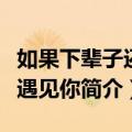 如果下辈子还能遇见你（关于如果下辈子还能遇见你简介）