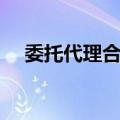 委托代理合同（关于委托代理合同简介）