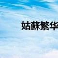 姑蘇繁华图（关于姑蘇繁华图简介）