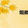 姐弟恋（关于姐弟恋简介）