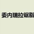 委内瑞拉锯脂鲤（关于委内瑞拉锯脂鲤简介）