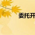 委托开考（关于委托开考简介）