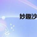 妙趣沙展（关于妙趣沙展简介）